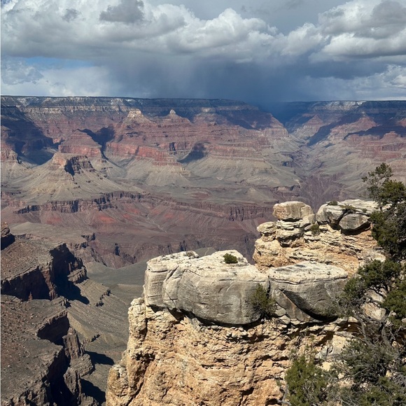 Meet your Posher, Lisa - Picture 2 of 2